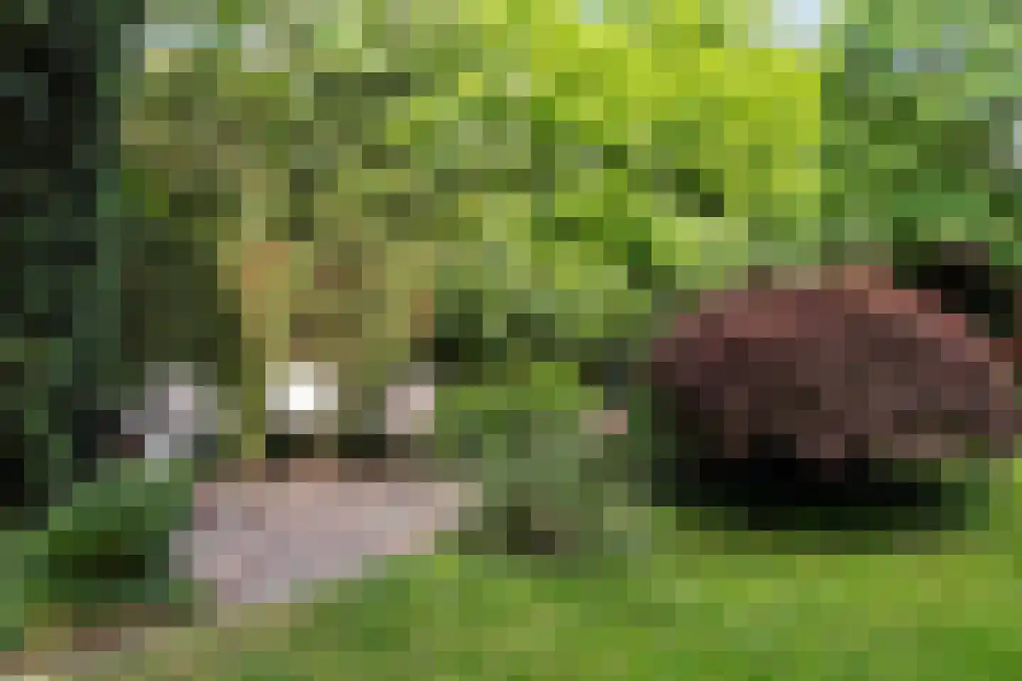 Spoorlaan 2 Zwammerdam thumbnail 46