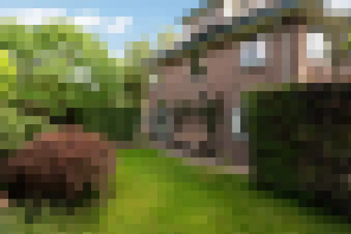 Spoorlaan 2 Zwammerdam thumbnail 47