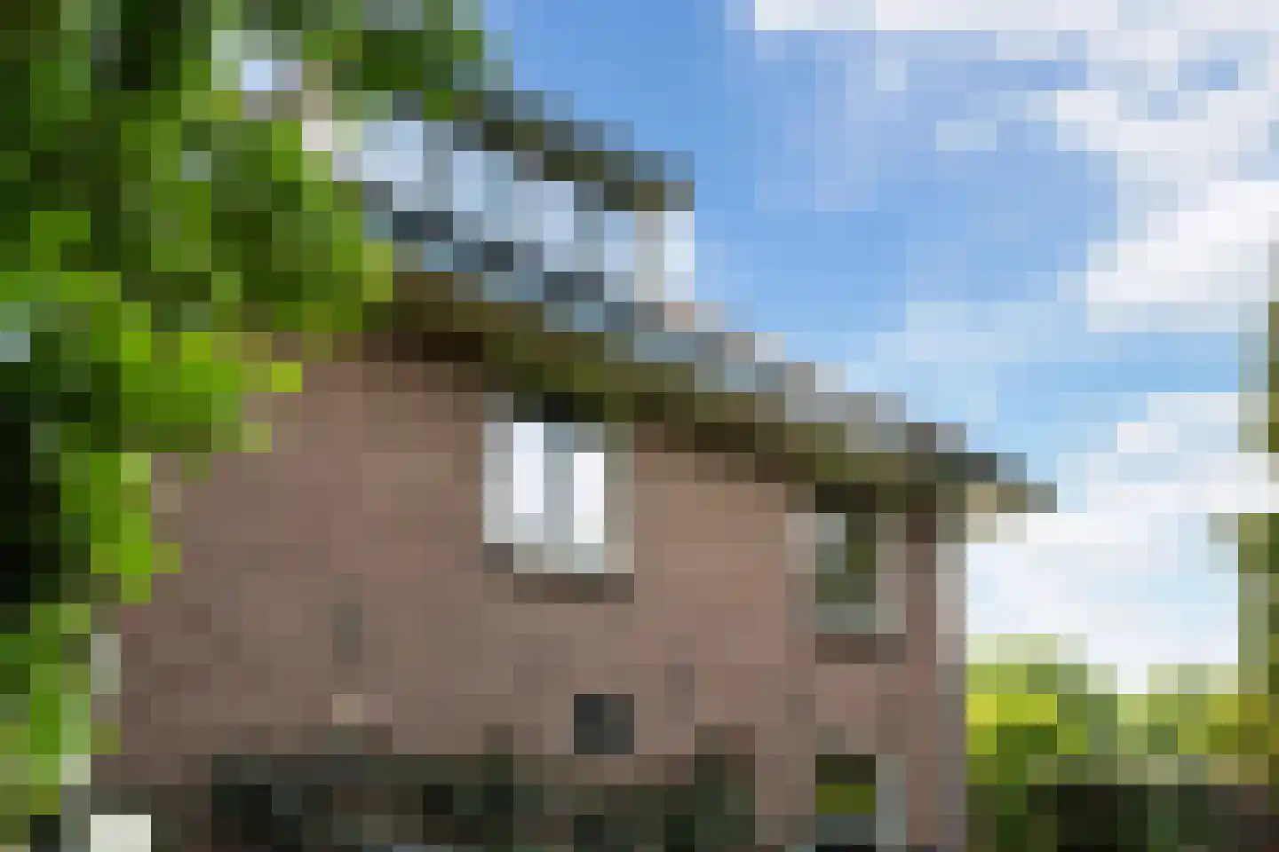 Spoorlaan 2 Zwammerdam thumbnail 48