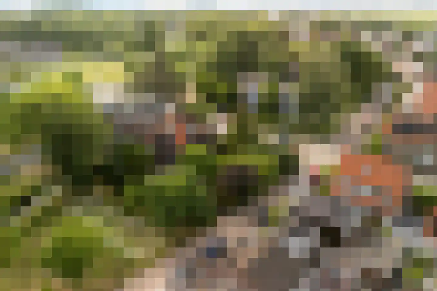 Spoorlaan 2 Zwammerdam thumbnail 5