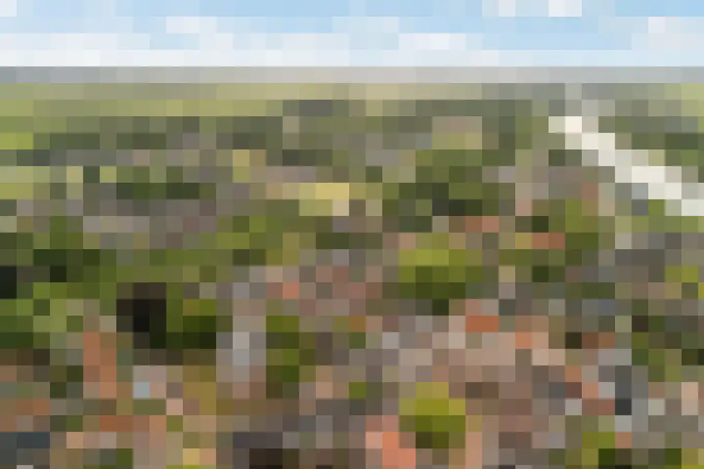 Spoorlaan 2 Zwammerdam thumbnail 76