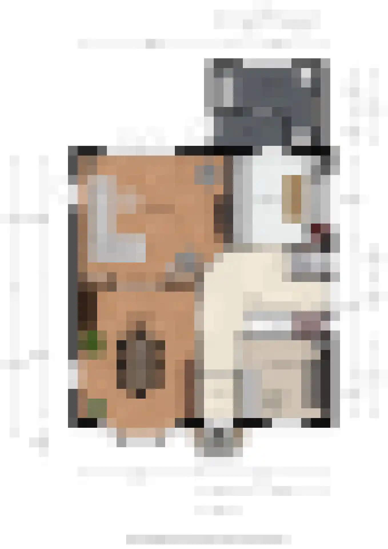 Spoorlaan 2 Zwammerdam thumbnail 79