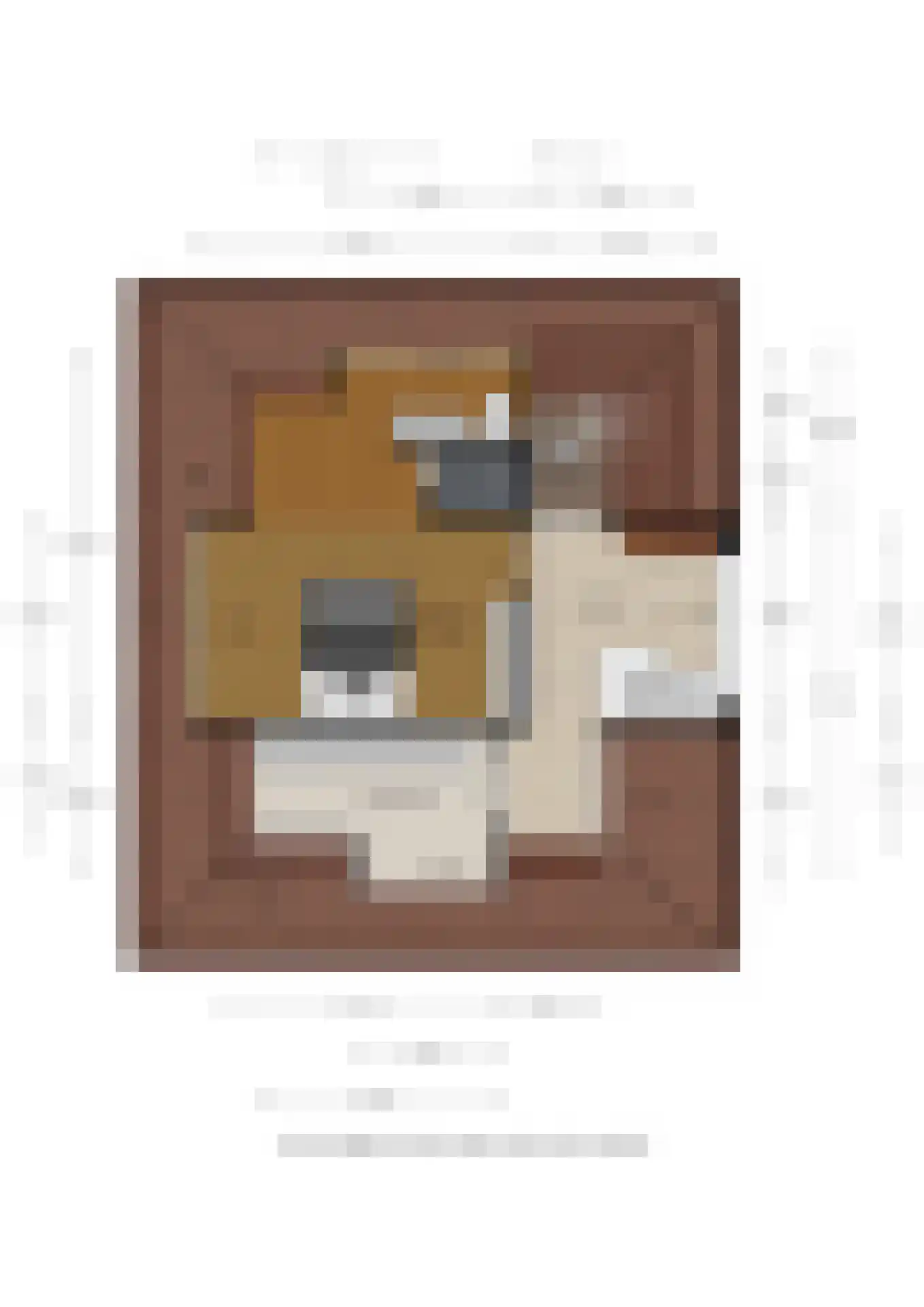 Spoorlaan 2 Zwammerdam thumbnail 81