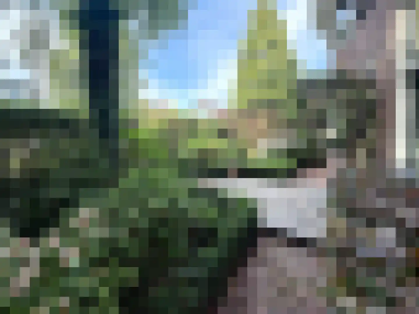 Spoorlaan 2 Zwammerdam thumbnail 9