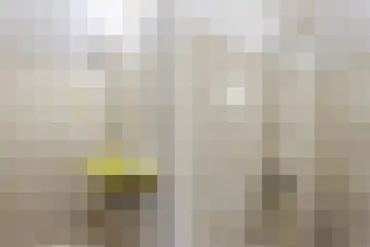 Spoorlaan 21 Nunspeet thumbnail 35