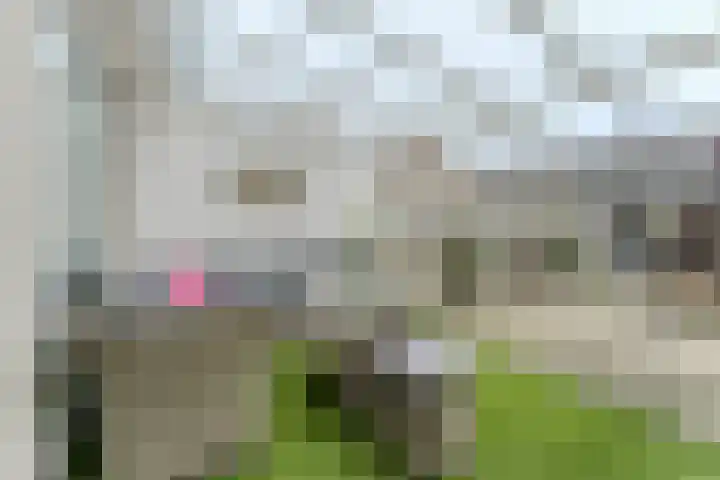 Spoorlaan 21 Nunspeet thumbnail 39