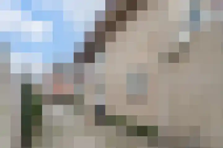 Spoorlaan 21 Nunspeet thumbnail 49