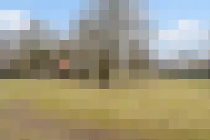 Spoorlaan 21 Nunspeet thumbnail 55