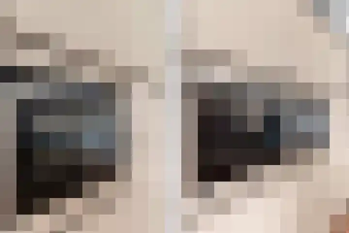 Spoorlaan 22 Abcoude thumbnail 18