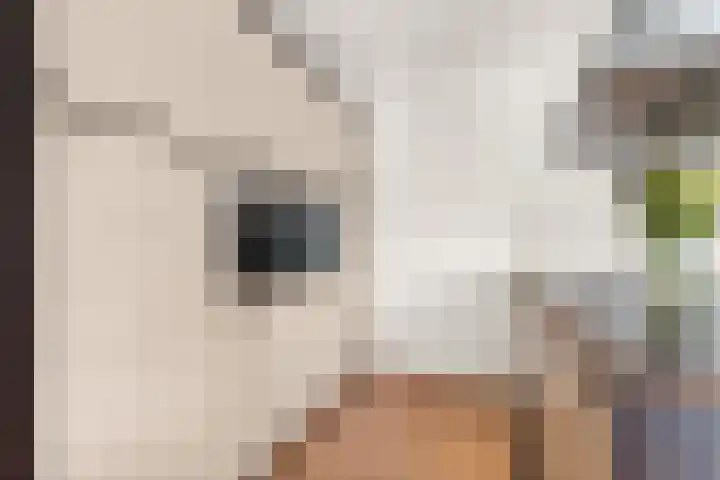 Spoorlaan 22 Abcoude thumbnail 19
