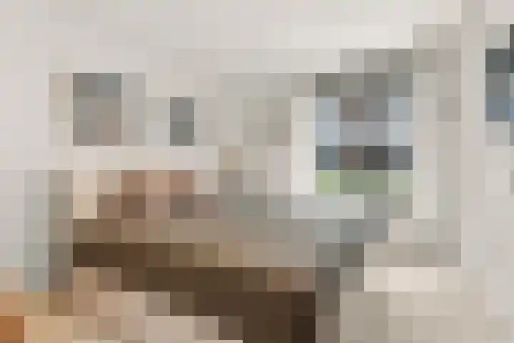 Spoorlaan 22 Abcoude thumbnail 24