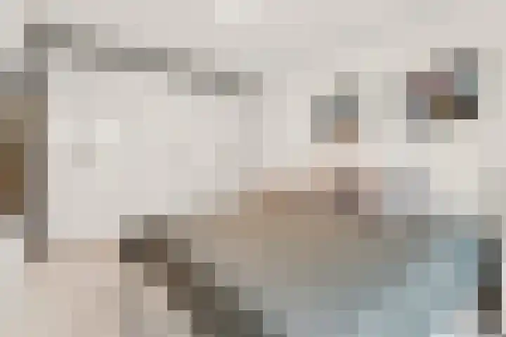 Spoorlaan 22 Abcoude thumbnail 25