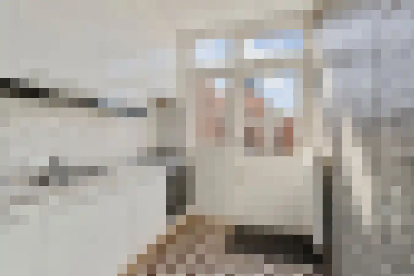 Spoorlaan 24 Etten-Leur thumbnail 10