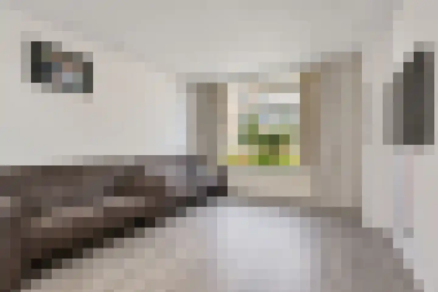 Spoorlaan 24 Etten-Leur thumbnail 8