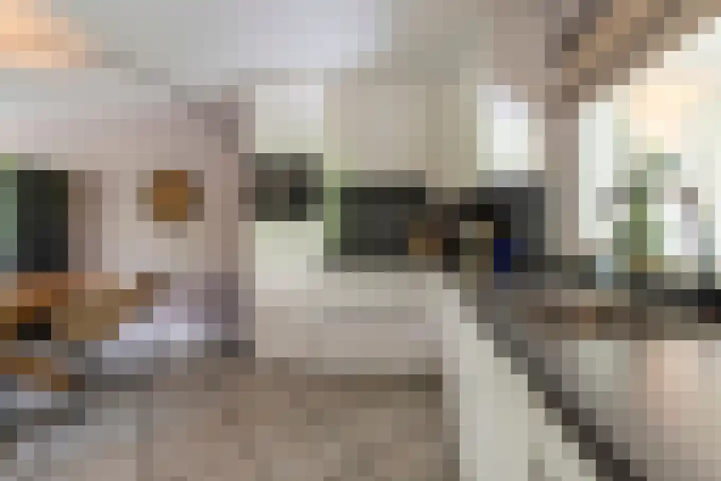 Spoorlaan 24 Veenendaal thumbnail 10
