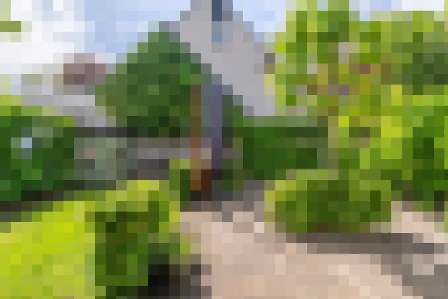 Spoorlaan 24 Veenendaal thumbnail 33