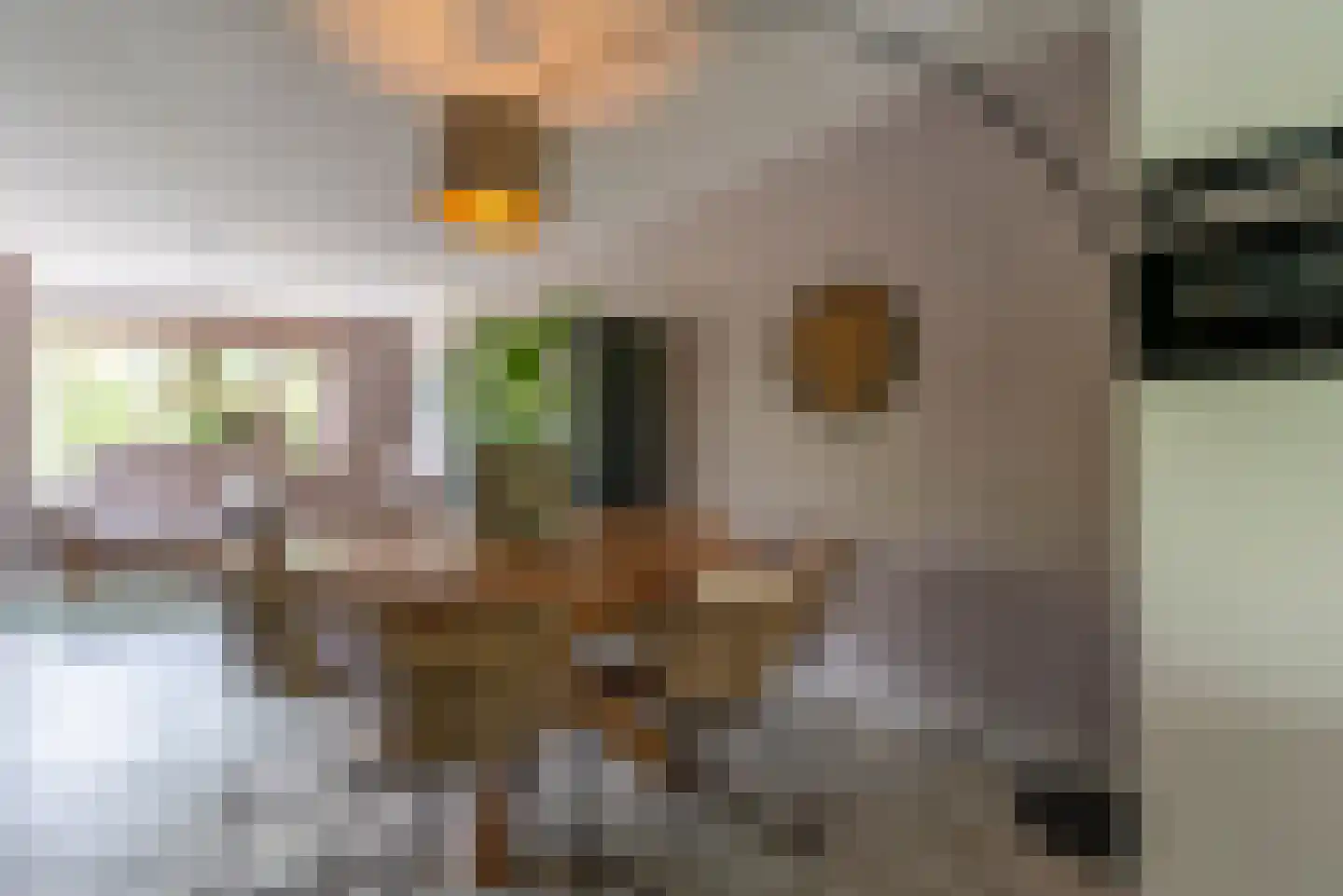 Spoorlaan 24 Veenendaal thumbnail 7