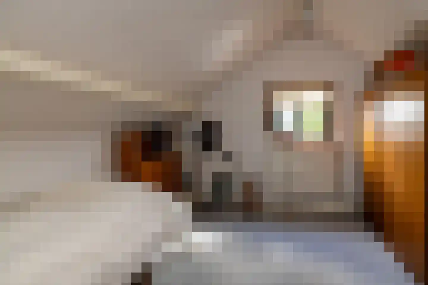 Spoorlaan 25 Nunspeet thumbnail 34