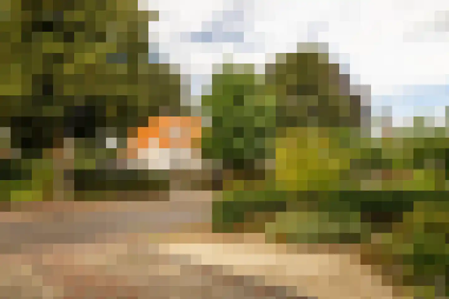 Spoorlaan 25 Nunspeet thumbnail 39