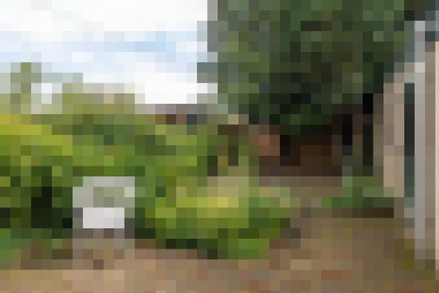 Spoorlaan 25 Nunspeet thumbnail 4