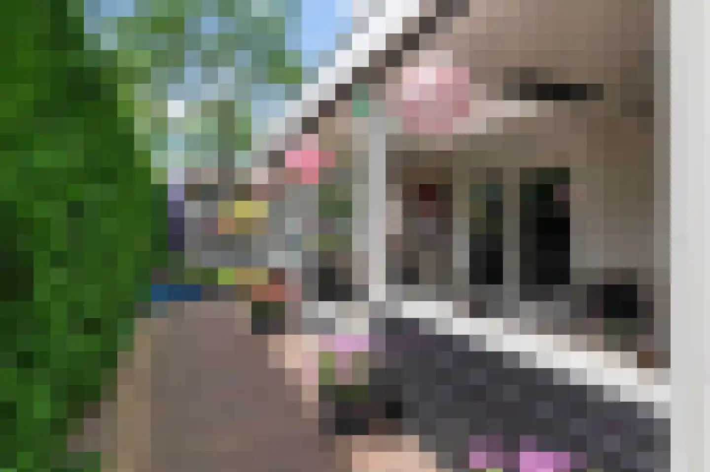 Spoorlaan 25 Voorhout thumbnail 17