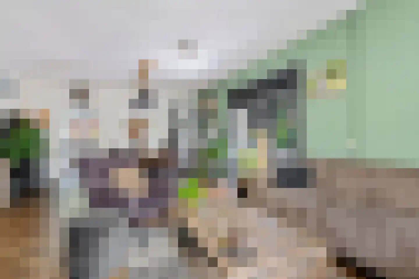 Spoorlaan 25 Voorhout thumbnail 5