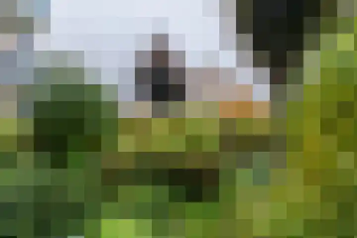 Spoorlaan 3 Valkenburg thumbnail 10