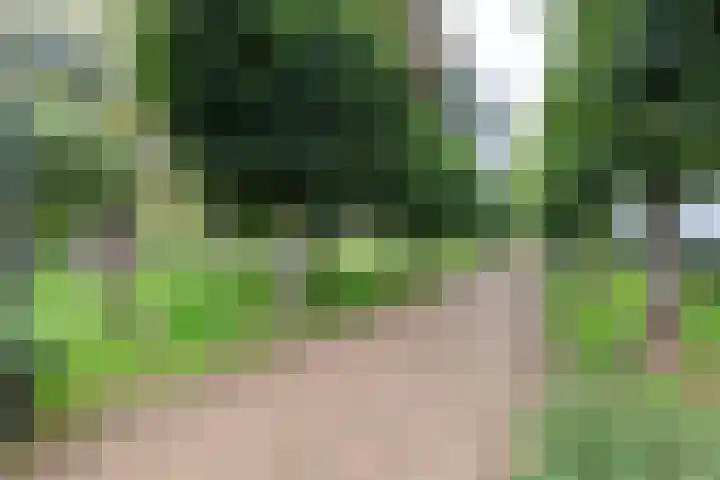 Spoorlaan 3 Valkenburg thumbnail 23