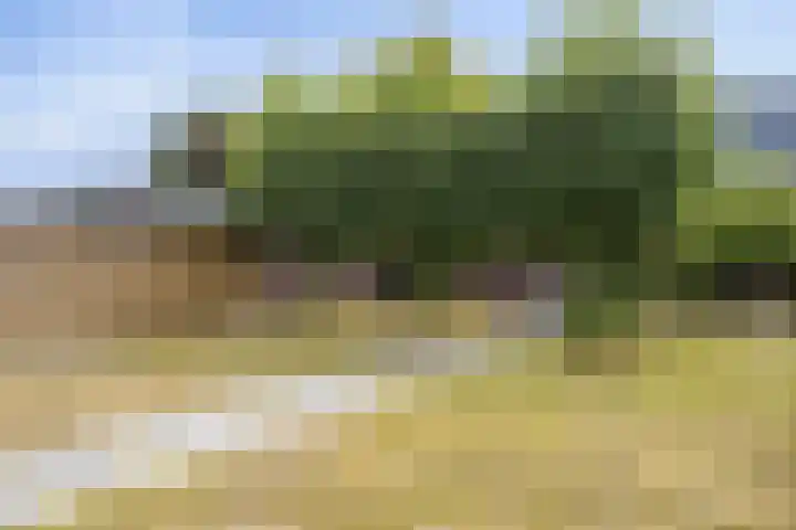 Spoorlaan 30 Groesbeek thumbnail 32