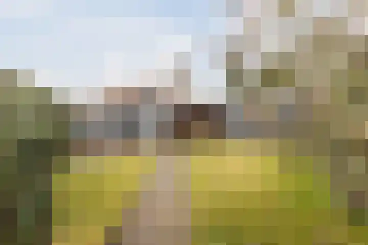 Spoorlaan 34 Groesbeek thumbnail 61