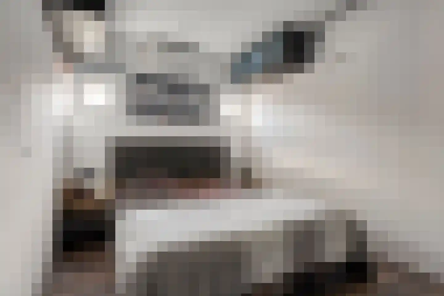 Spoorlaan 34 Vinkeveen thumbnail 17