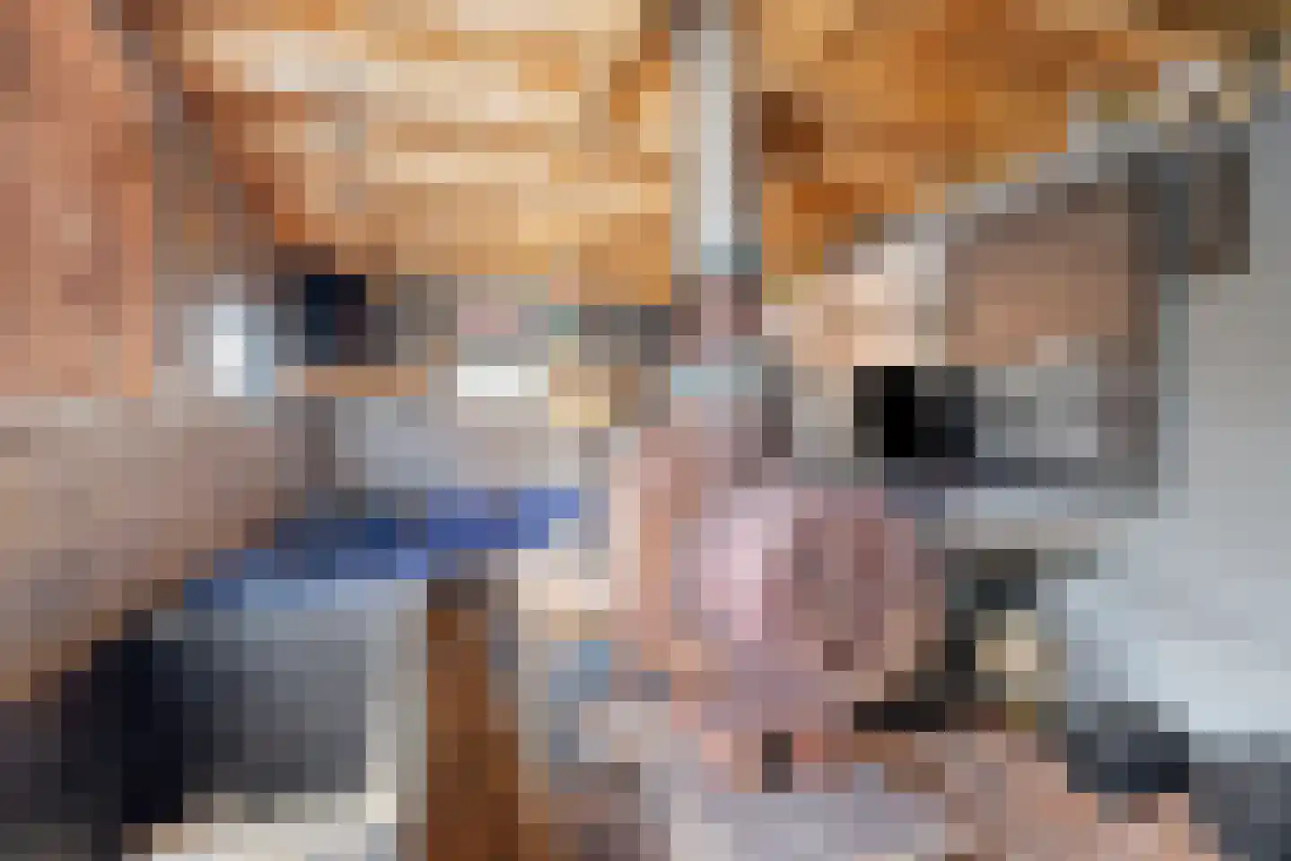 Spoorlaan 34 Vinkeveen thumbnail 30