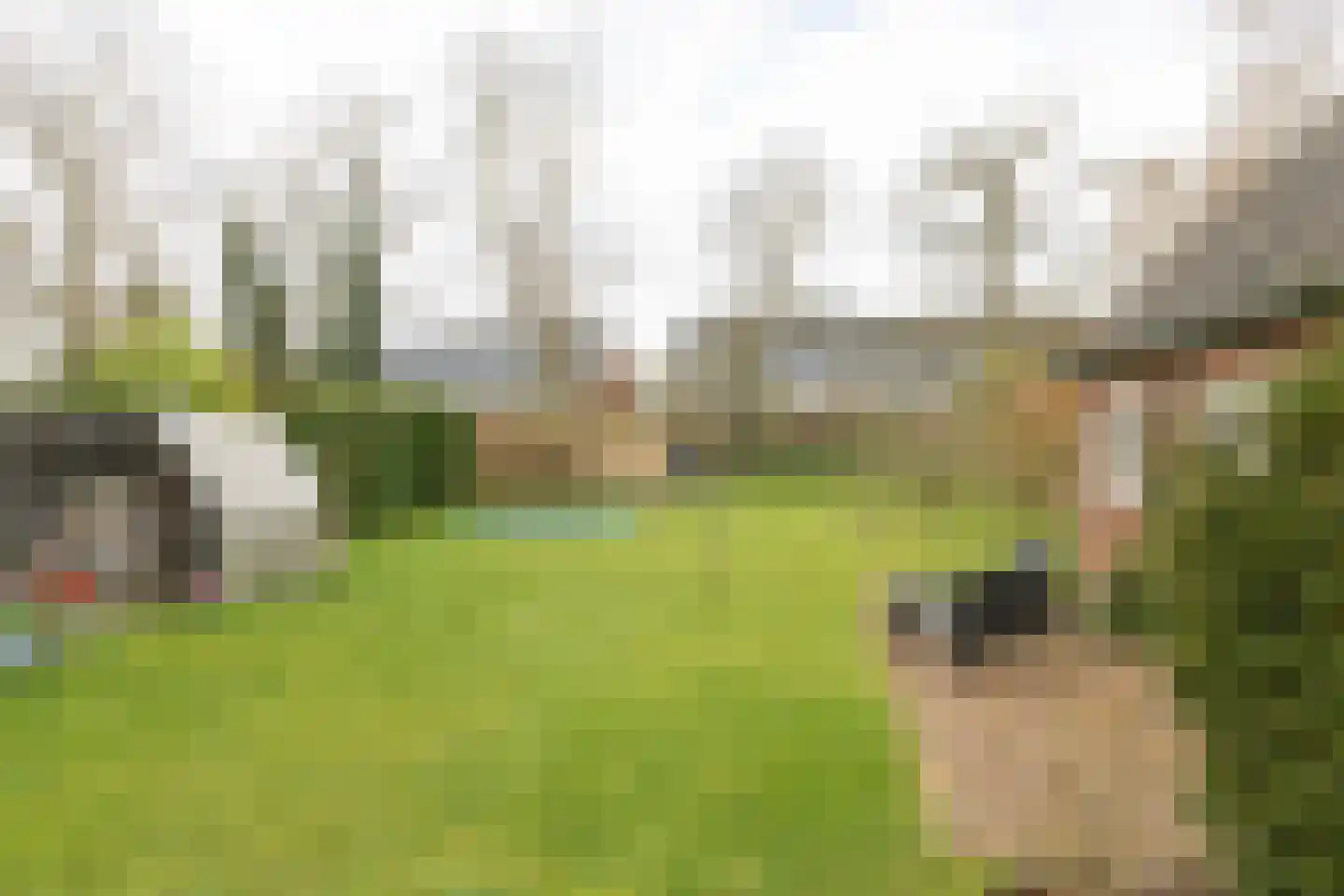 Spoorlaan 35 Bilthoven thumbnail 44