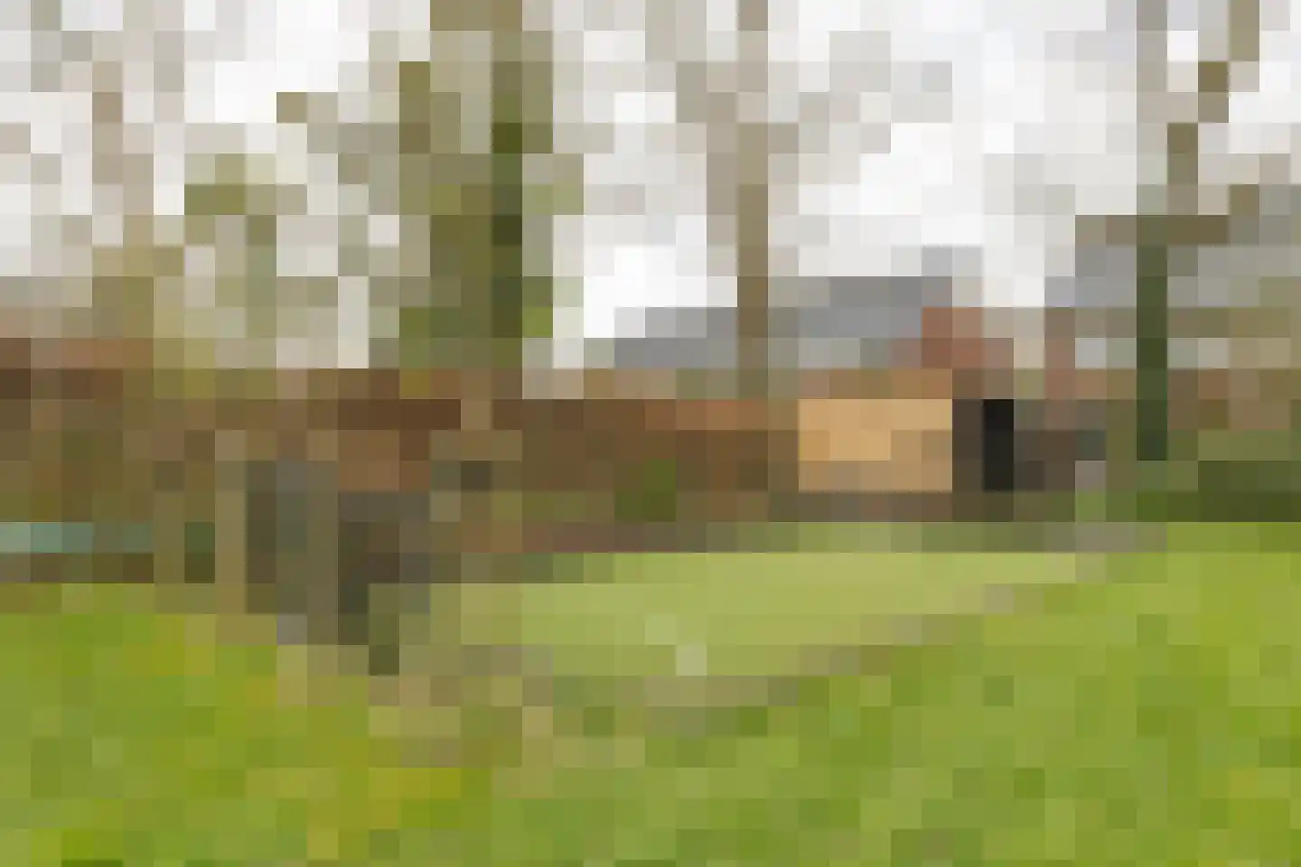 Spoorlaan 35 Bilthoven thumbnail 47