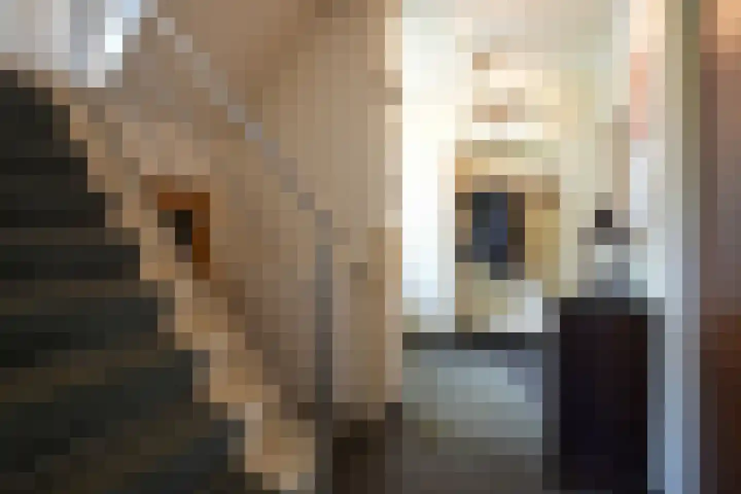 Spoorlaan 35 Valkenburg thumbnail 12