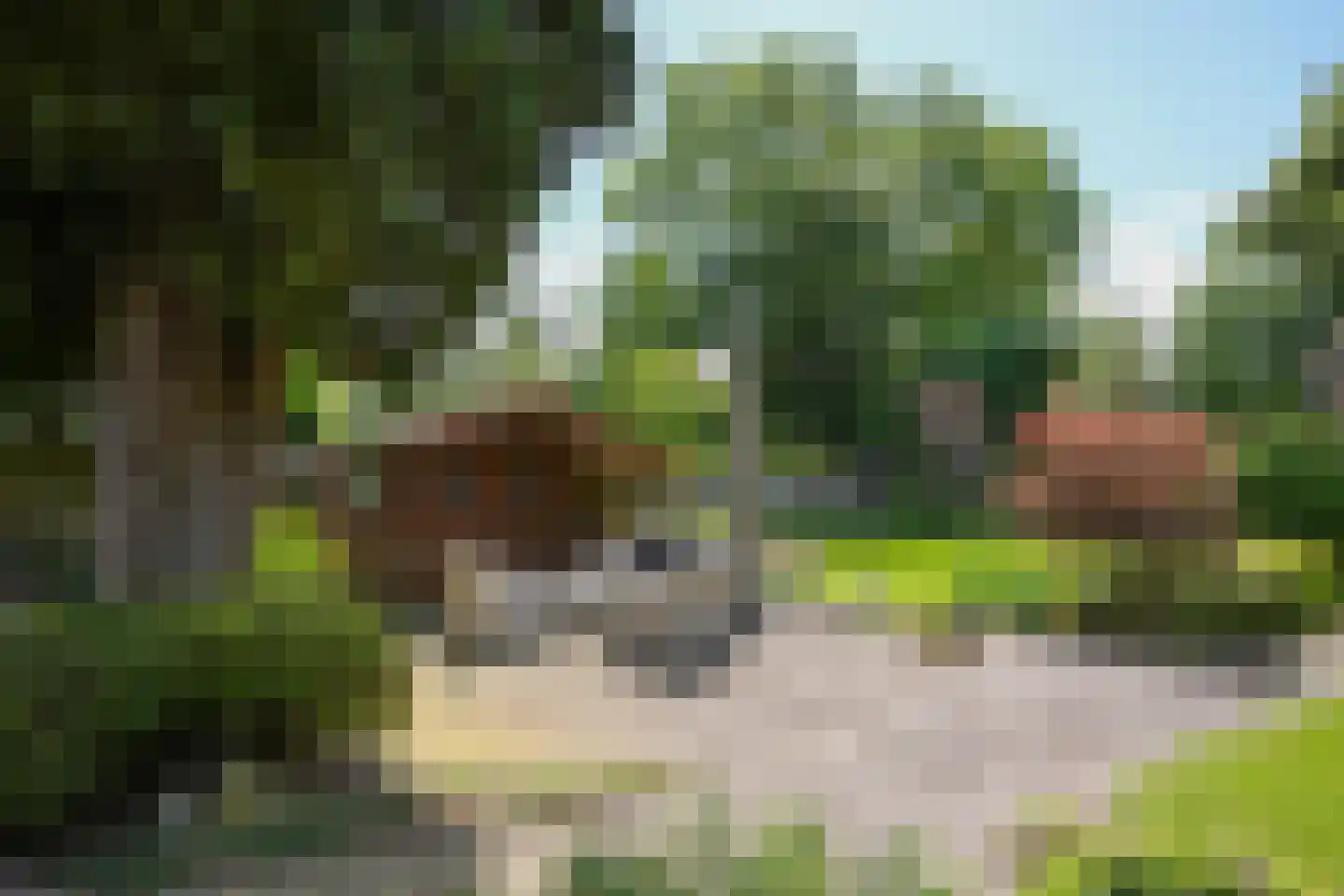 Spoorlaan 35 Valkenburg thumbnail 54