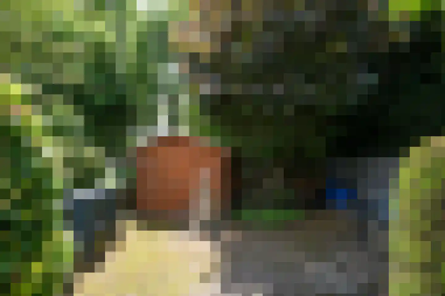 Spoorlaan 35 Valkenburg thumbnail 58