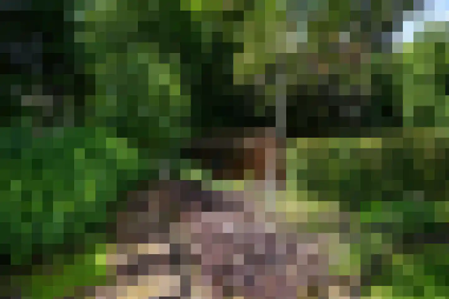 Spoorlaan 35 Valkenburg thumbnail 59