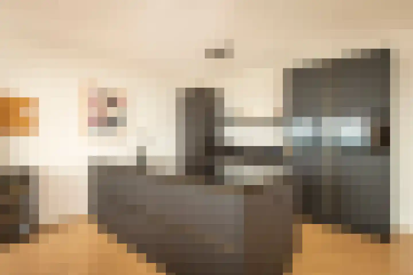Spoorlaan 361 Tilburg thumbnail 35