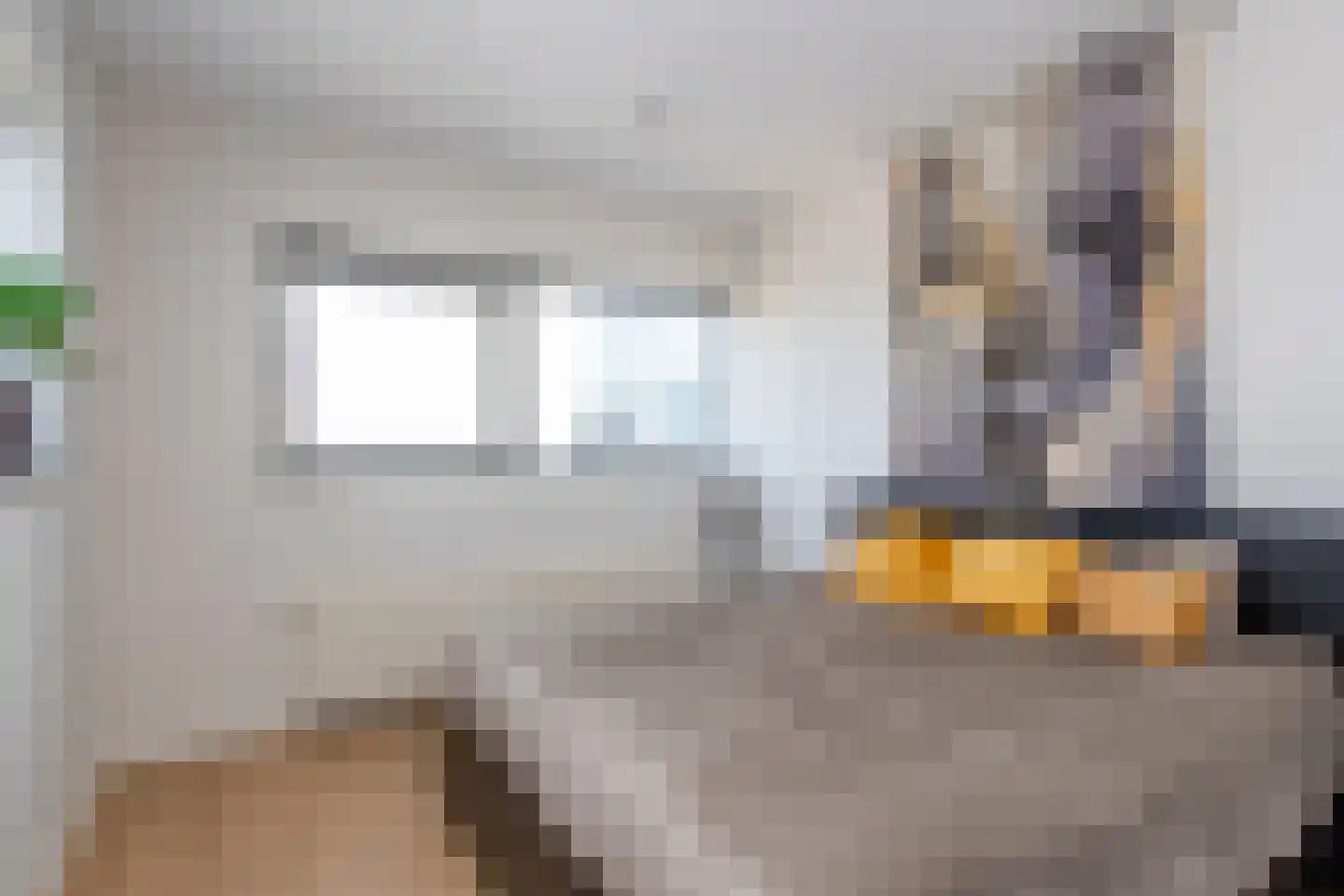 Spoorlaan 361 Tilburg thumbnail 46