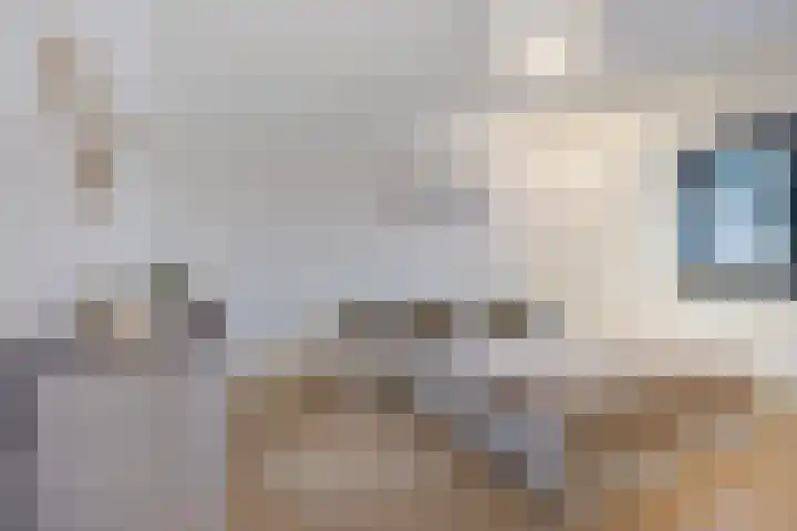 Spoorlaan 38 01 Tilburg thumbnail 14