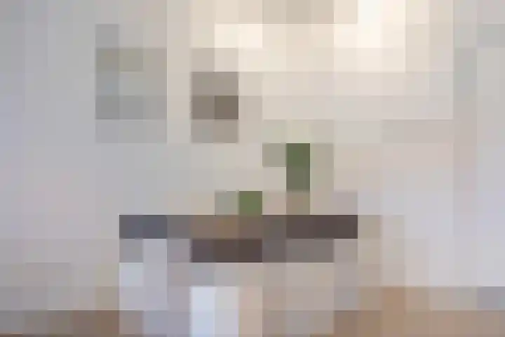 Spoorlaan 38 01 Tilburg thumbnail 5