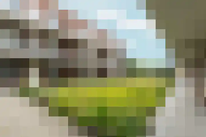 Spoorlaan 38 Abcoude thumbnail 20