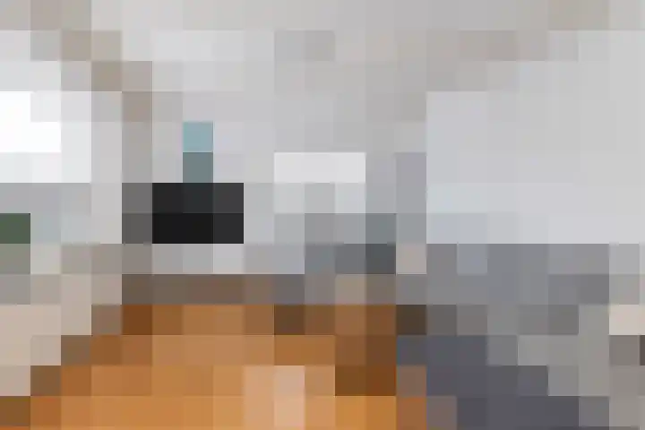 Spoorlaan 39 Wezep thumbnail 13