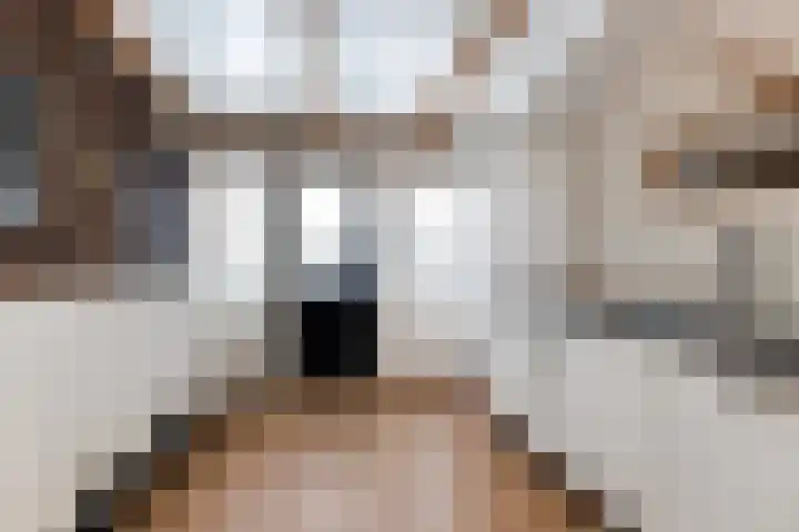 Spoorlaan 39 Wezep thumbnail 21