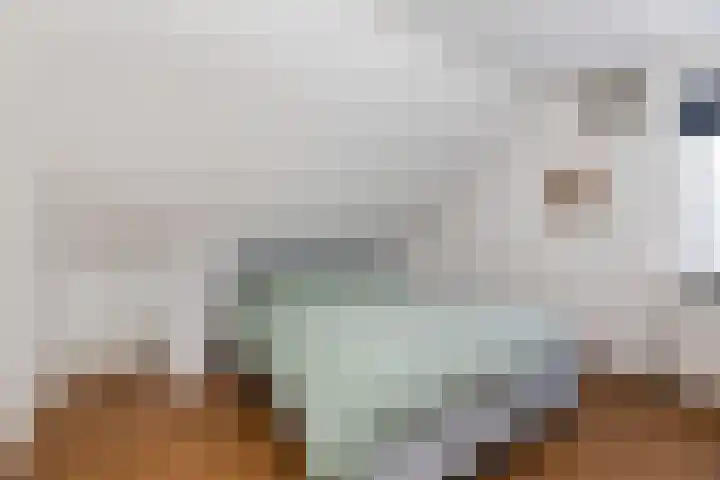 Spoorlaan 39 Wezep thumbnail 25