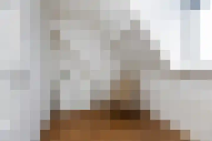 Spoorlaan 39 Wezep thumbnail 28