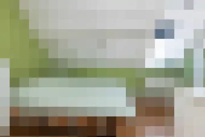 Spoorlaan 39 Wezep thumbnail 30