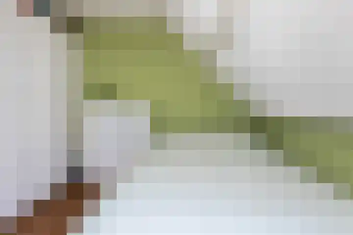 Spoorlaan 39 Wezep thumbnail 31