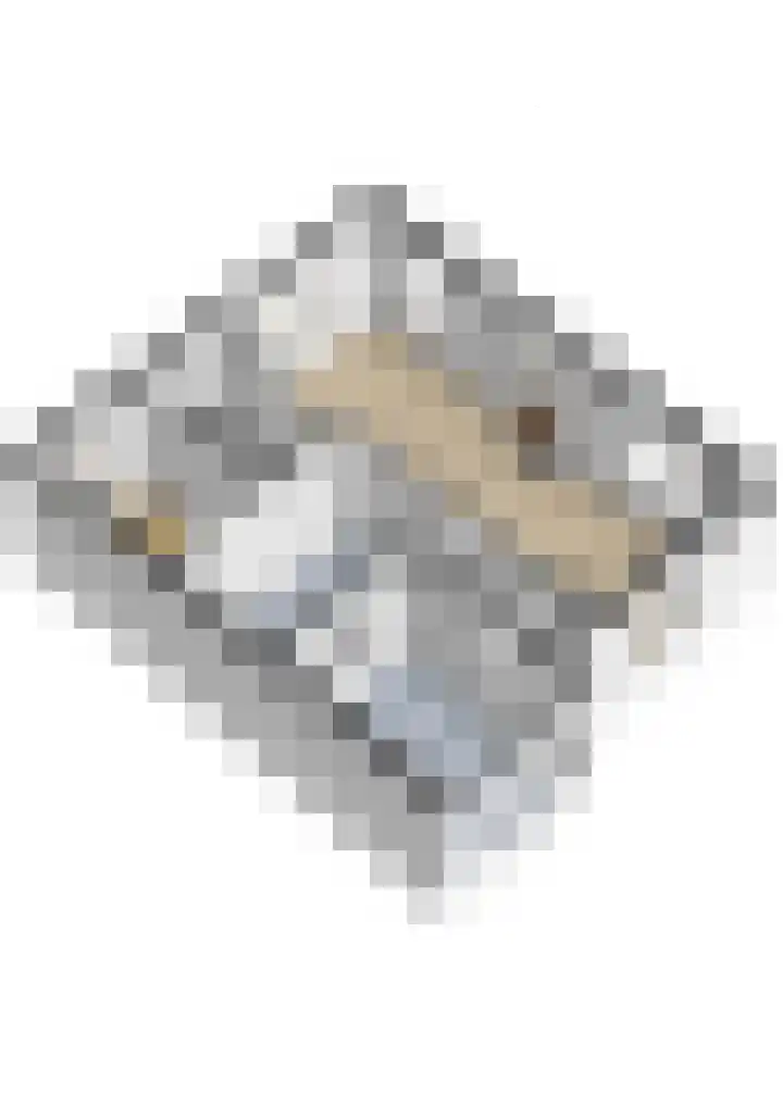 Spoorlaan 39 Wezep thumbnail 42